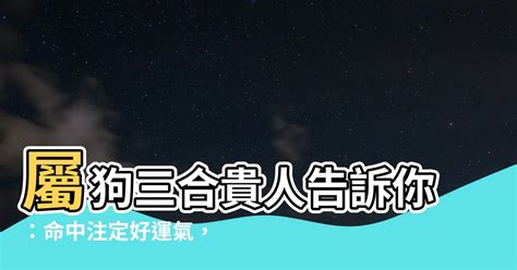 屬狗三合貴人|【狗三合】快來解謎！狗的三合六合是什麼？十二生肖合沖秘辛大。